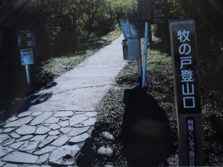 CIMG0055.JPG