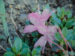 CIMG0056.JPG