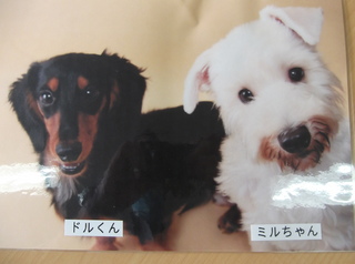 DSCF9830.JPG