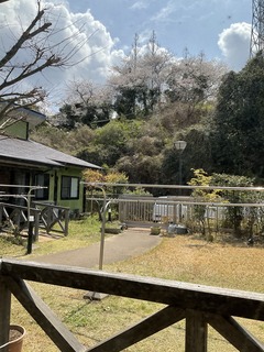 Ԍ 012.JPG