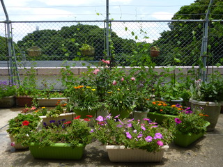 P1030365.JPG