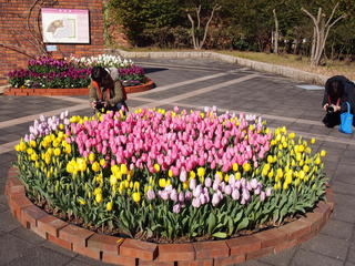 P1270226.JPG