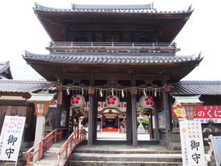 P9020547.JPG
