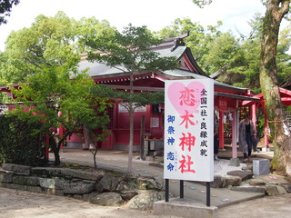 P9020560.JPG
