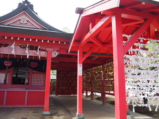 P9020563.JPG
