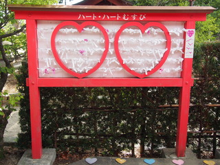 P9020568.JPG